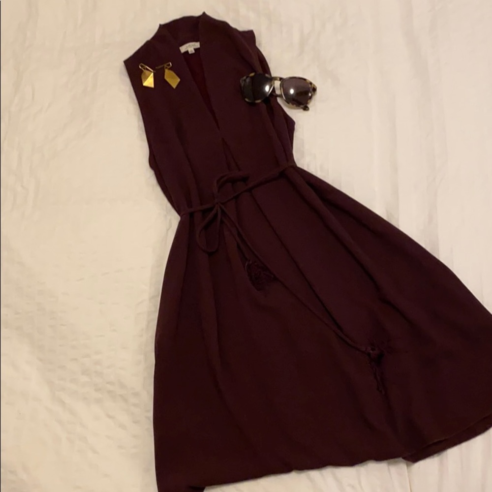 Burgundy Aritzia Wilfred Mini Dress